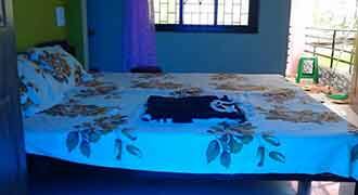 Amigos Guest House, Goa 2